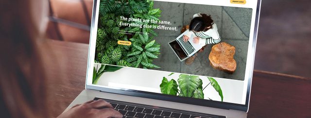 המיתוג של Hybrid ל־Selfgrow. צילומים: מ״ל