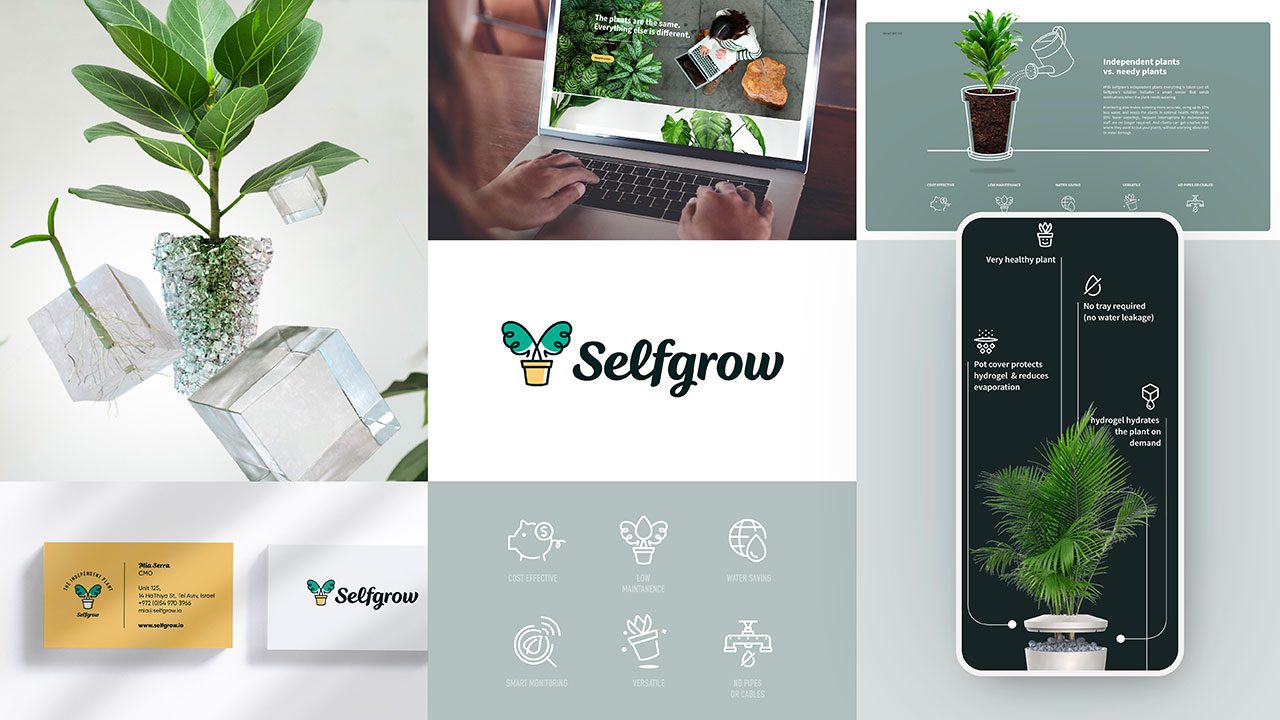 המיתוג של Hybrid ל־Selfgrow