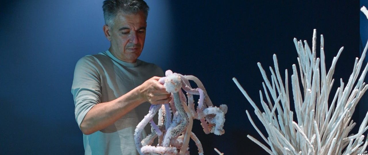 צורי גואטה במוזיאון הטבע. צילום: שי בן אפריים