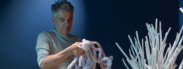 צורי גואטה במוזיאון הטבע. צילום: שי בן אפריים