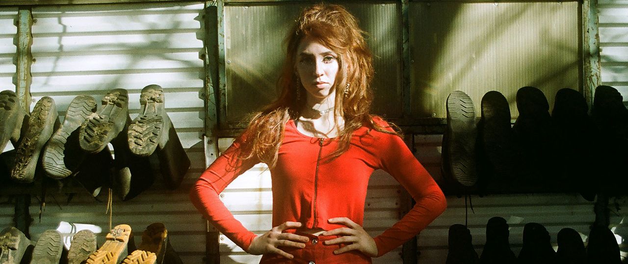 עדי סקוטק. צילום: טל מקניל