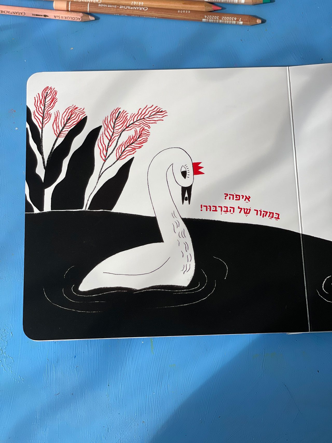 צילומים: מ״ל