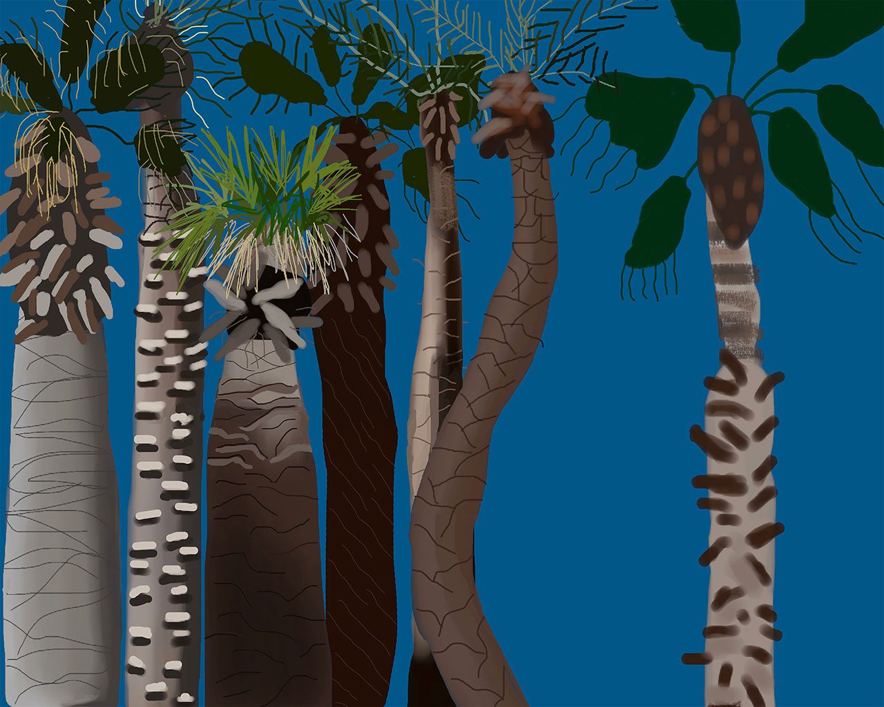 איילה נצר. צילום: מ״ל