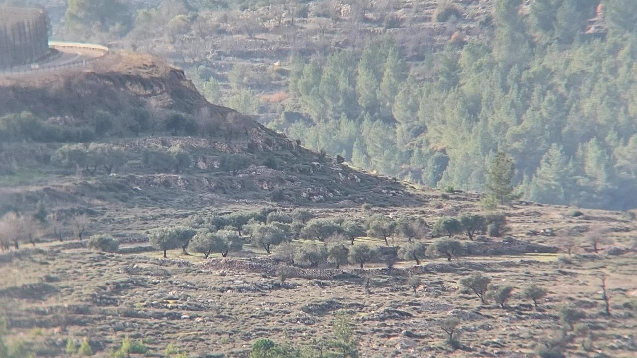 השגחה , العناية. הלל רומן