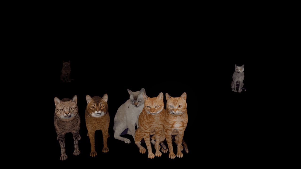 מירי סגל, Pussy Mirror . צילום: גלריה דביר