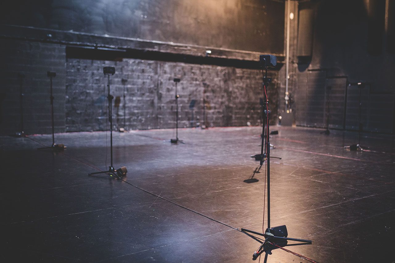 אנה ווילד, שמעתי את זה בגפנים