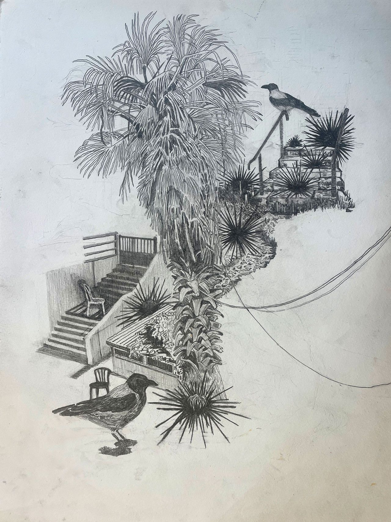 ניבי אלרואי. צילום: מ״ל