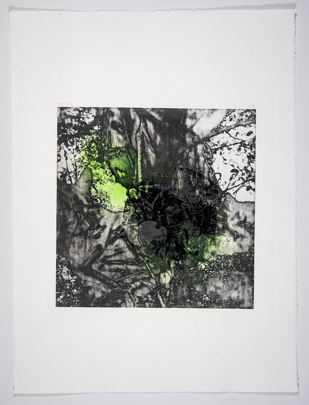 עינת אמיר. צילום: יבגני אידל