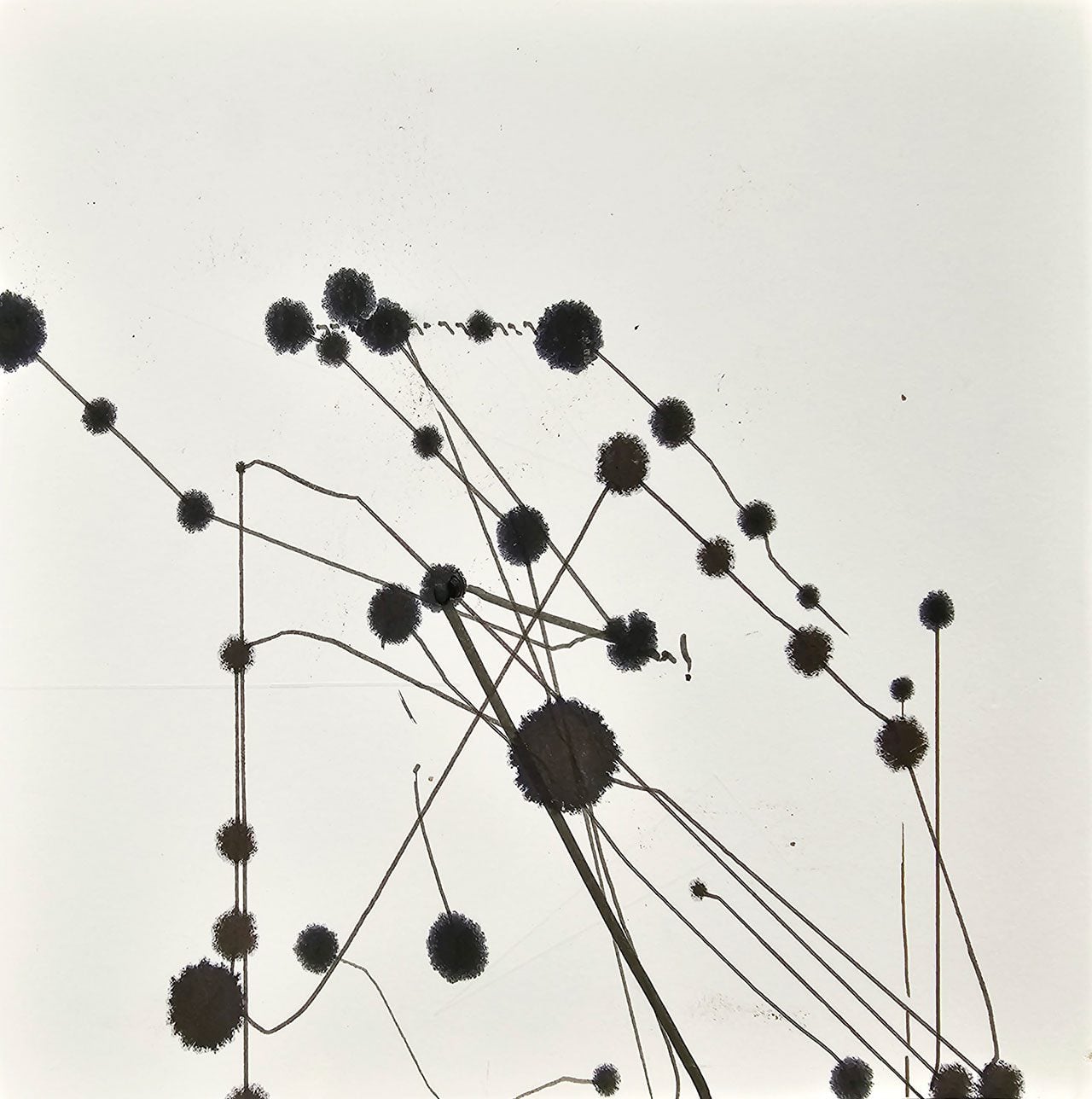 תוצרים של ״תמר״, מדפסת תלת ממד האמנית הראשונה בעולם. צילומים: מ״ל