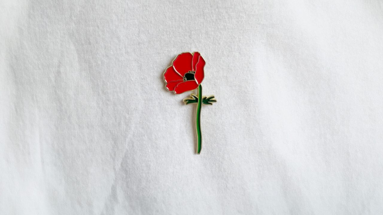 סיכות הכלנית של נועם לוקר. צילום: מ"ל