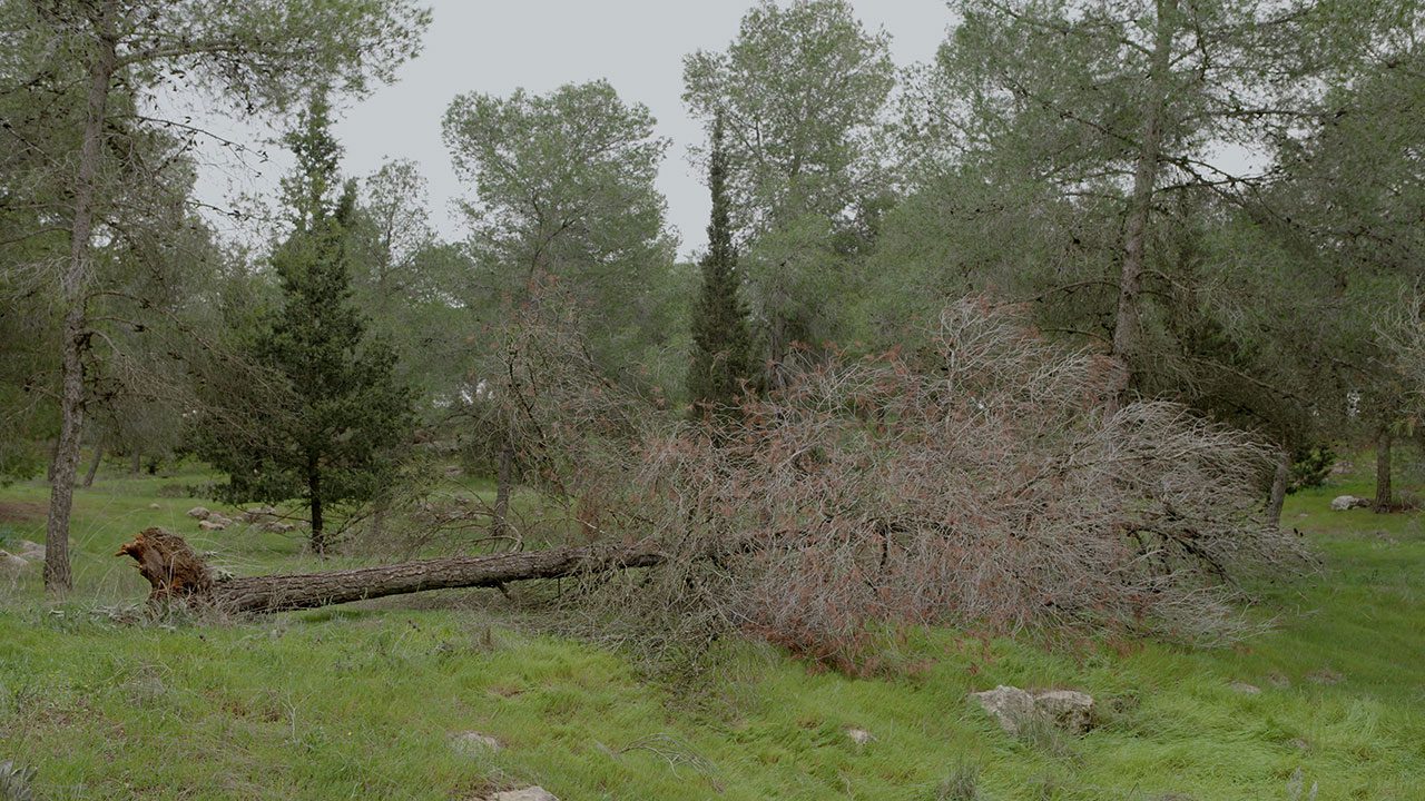 טליה הופמן, מעשה ידי אדם. צילום: רני מונצז׳