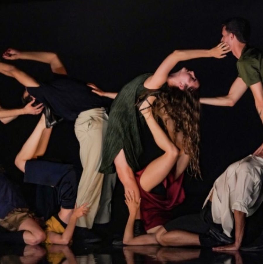 Performing Love, רוני חדש. צילום: אפרת מזור