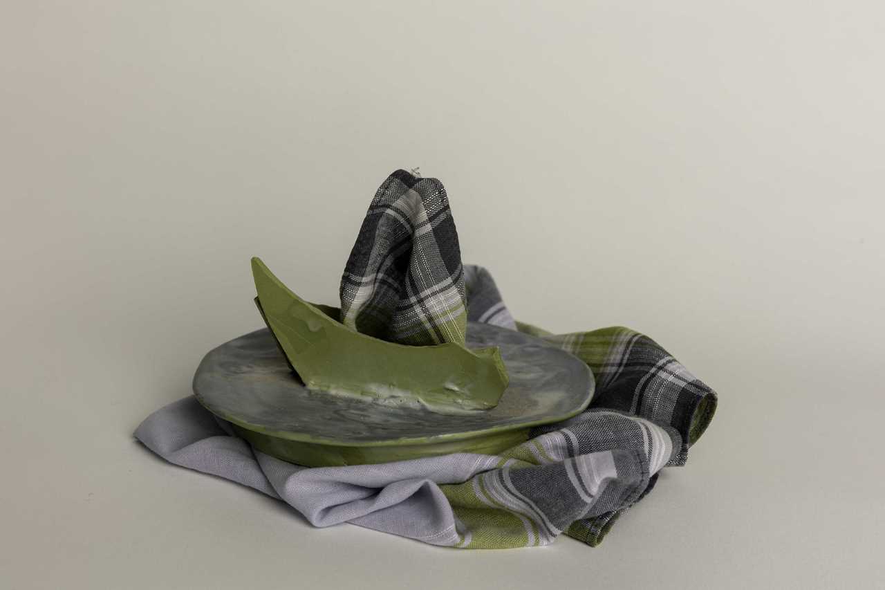 שלומית מנדלקרן. צילום: דנה בר סימן טוב