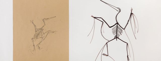 דפנה קפמן, סדרת המאובנים. צילומים: דורון לצטר