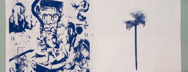 הד, עבודות מאת נוגה כהן ו״שטרודל״. צילומים: יותם כהן