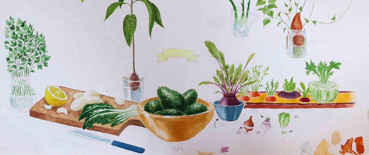 אילנה שטיין, עשר שנים בגינה