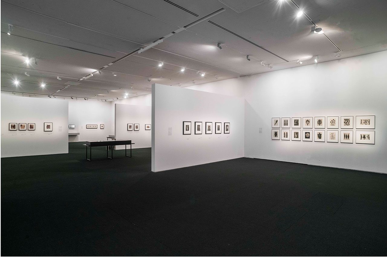 היסטוריה קטנה של הצילום: בעקבות ולטר בנימין. צילומים: זוהר שמש / מוזיאון ישראל