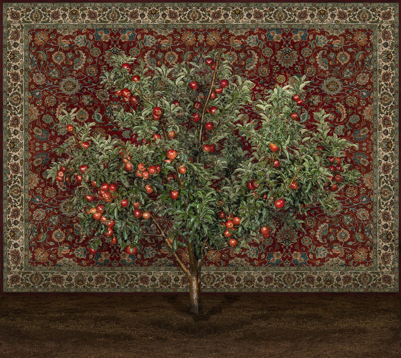 טל שוחט, עץ תפוחים עם שטיח. צילום: אוסף כנסת ישראל