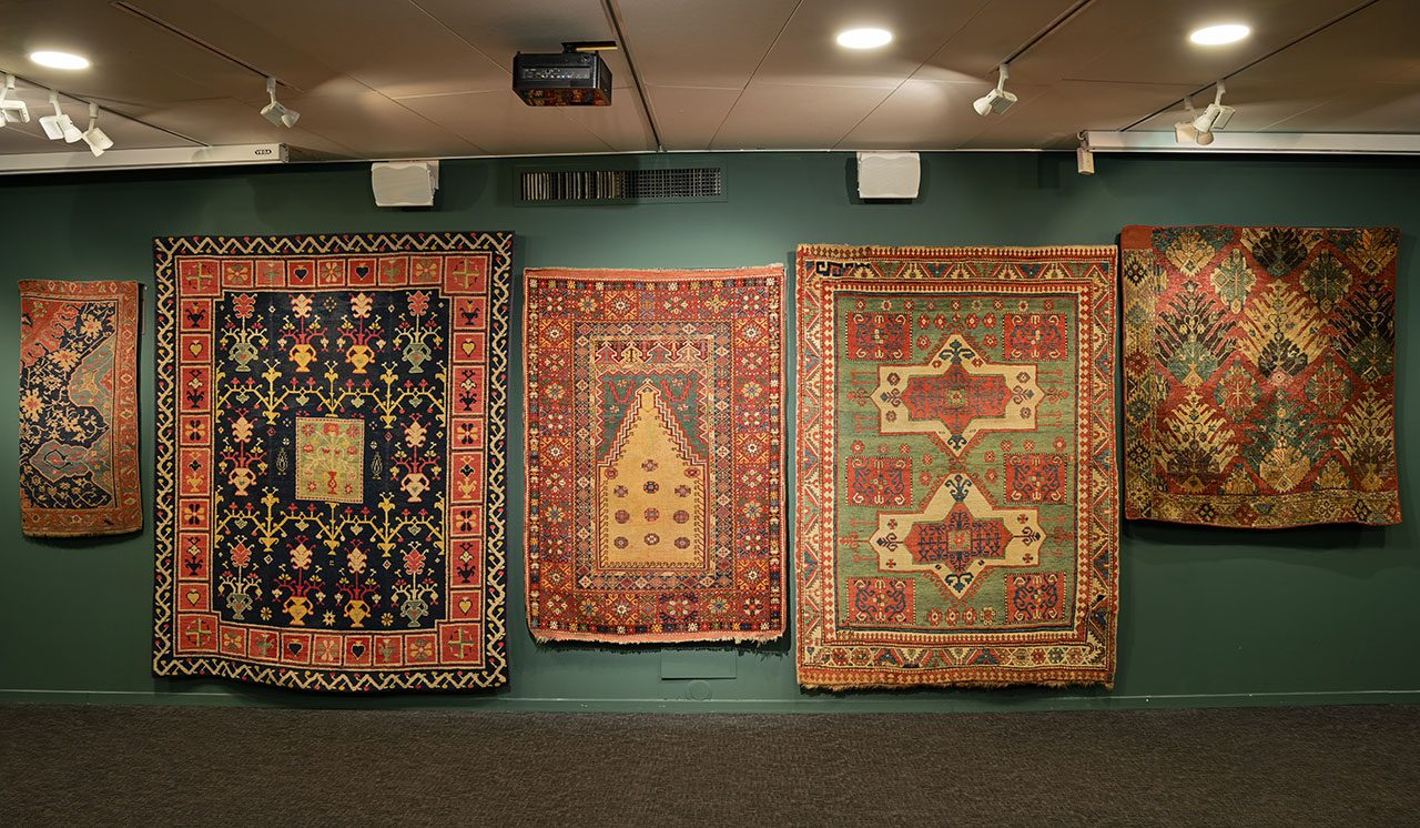 צילומים: שי בן אפרים