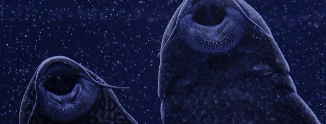 גלעד רטמן במרכז לאמנות עכשווית. צילום: מ״ל