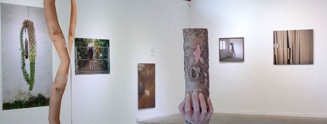 האם השמש זרחה היום, גלריה לאמנות עין הוד. צילום: דפנה אמירה