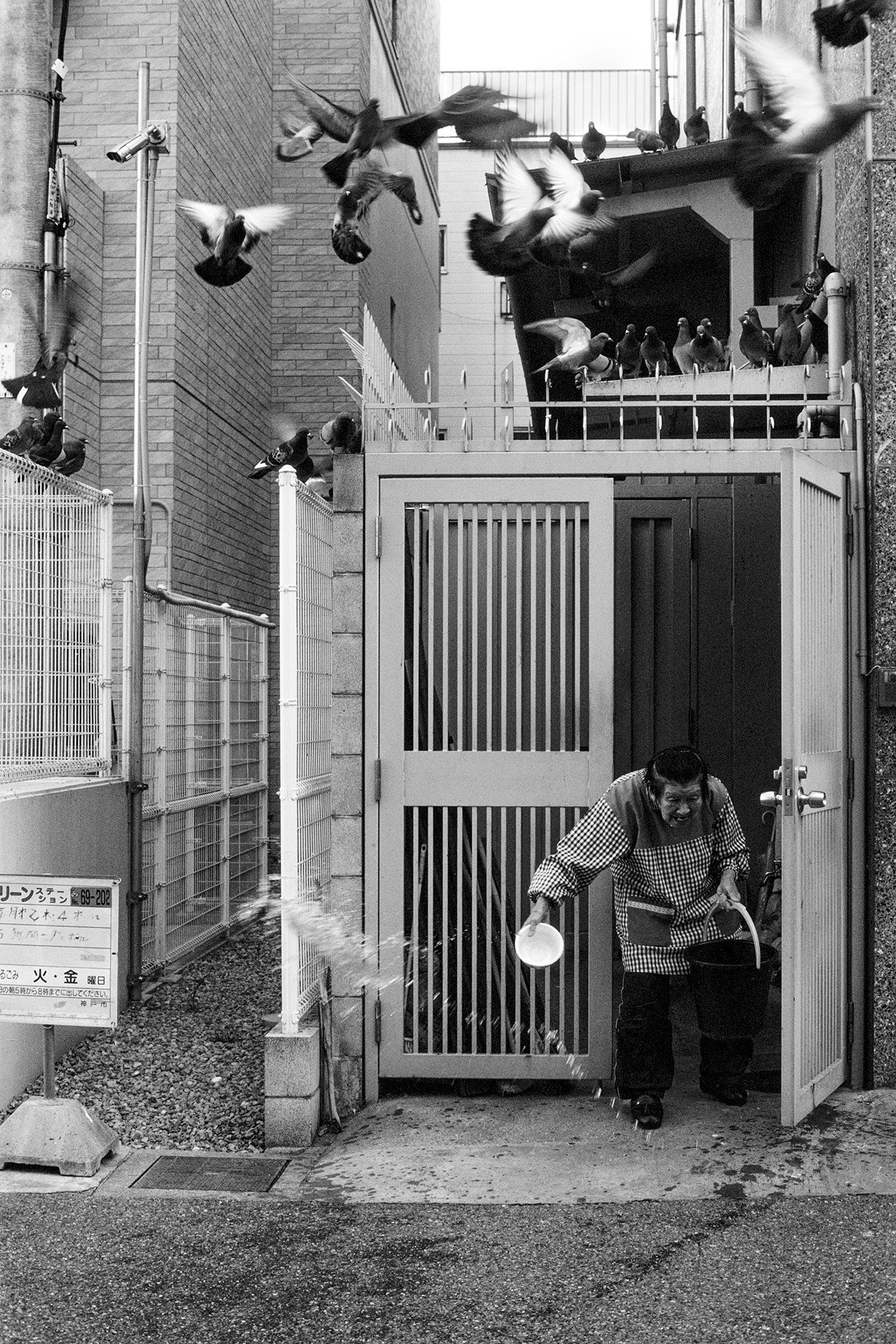 החברים היחידים שלה