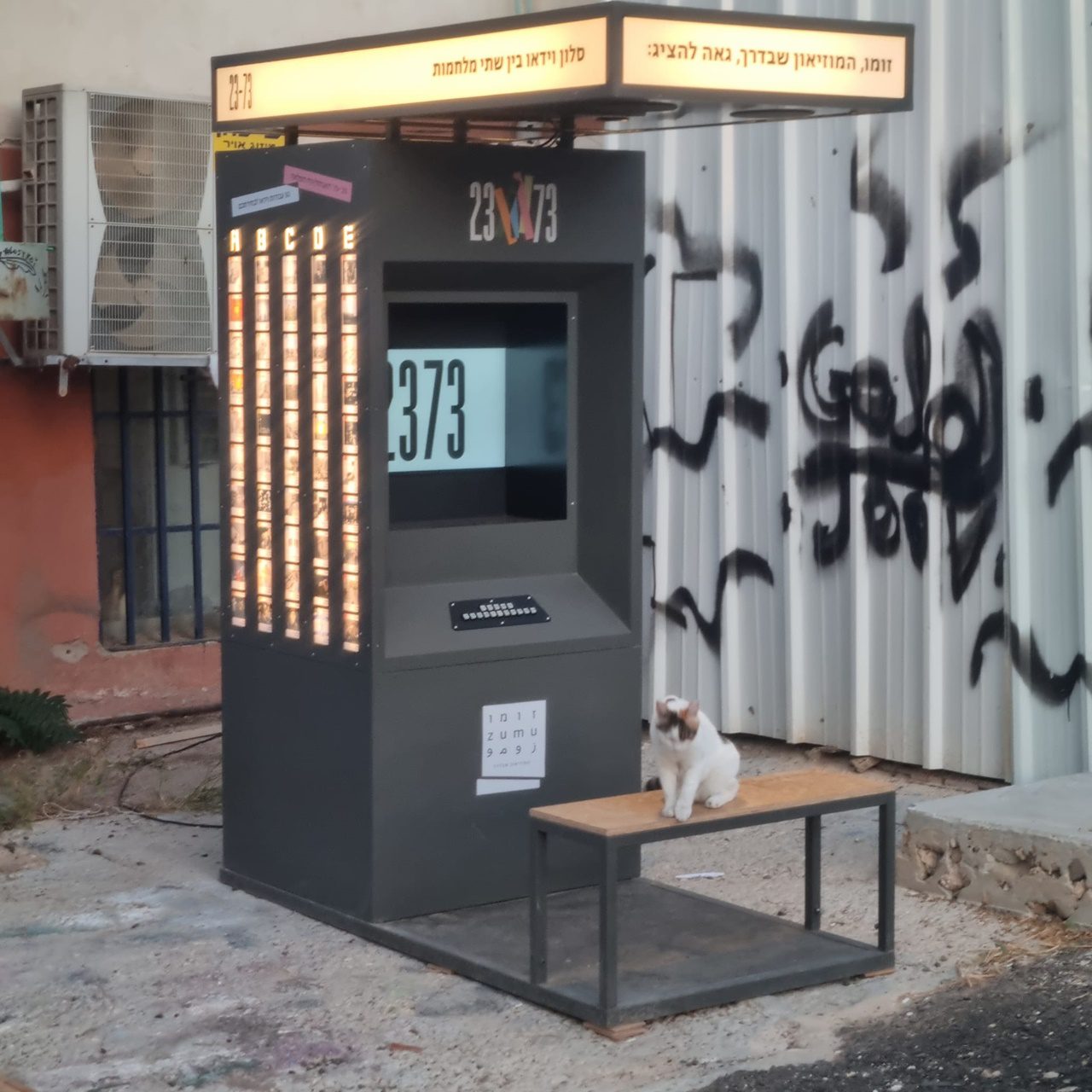 סלון וידיאו של זומו. צילום: תומר פרוכטר