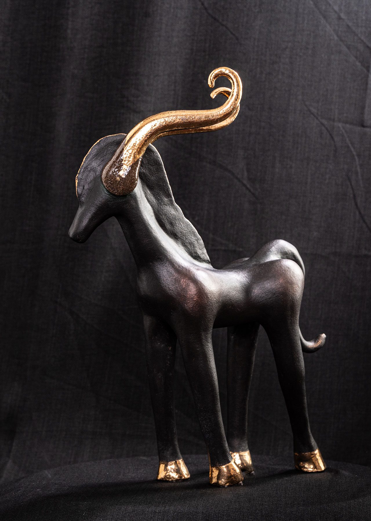 צילומים: שני רייך