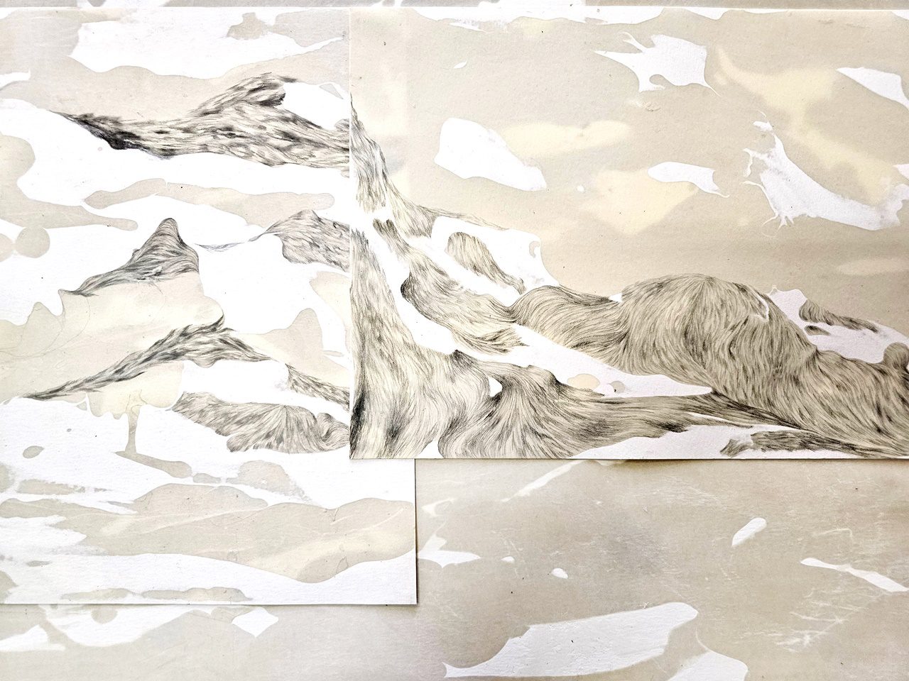 הדס דוכן. צילום: מ״ל