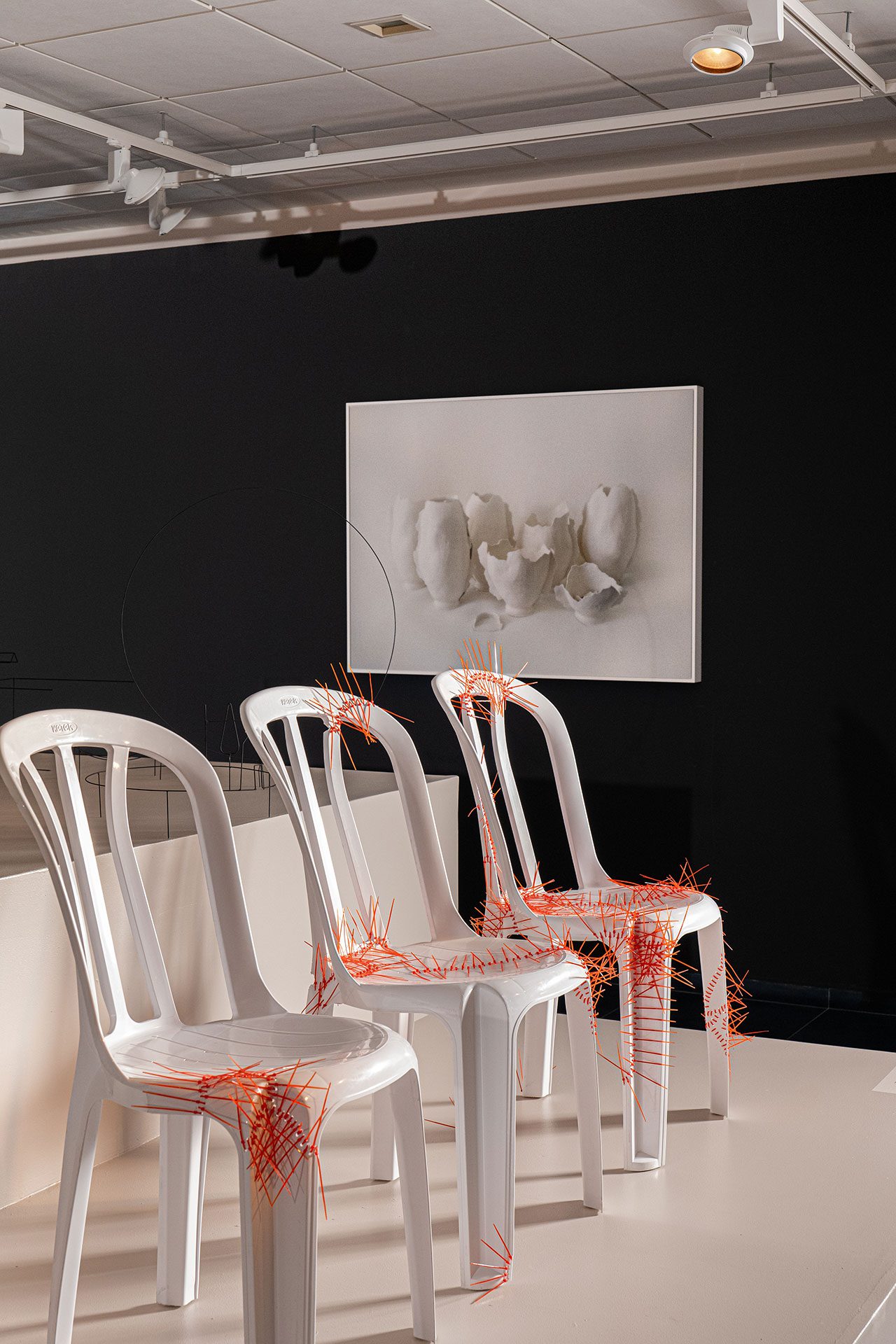 אורי שיפרין