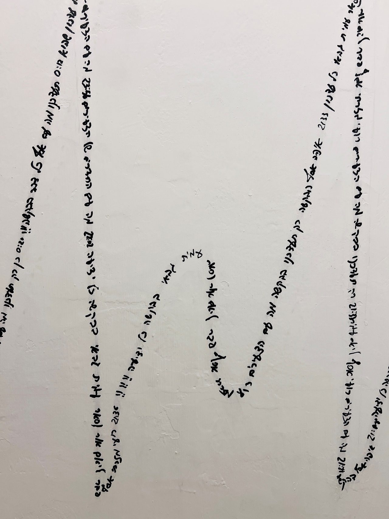 עדי דרימר. צילום: נדב ברקאי