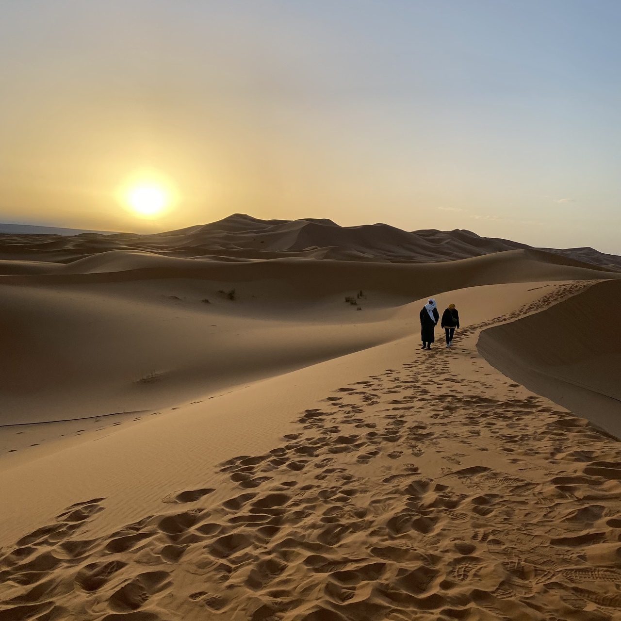 קרול גלאובר בבית ספיר כפר סבא. צילומים: מ״ל