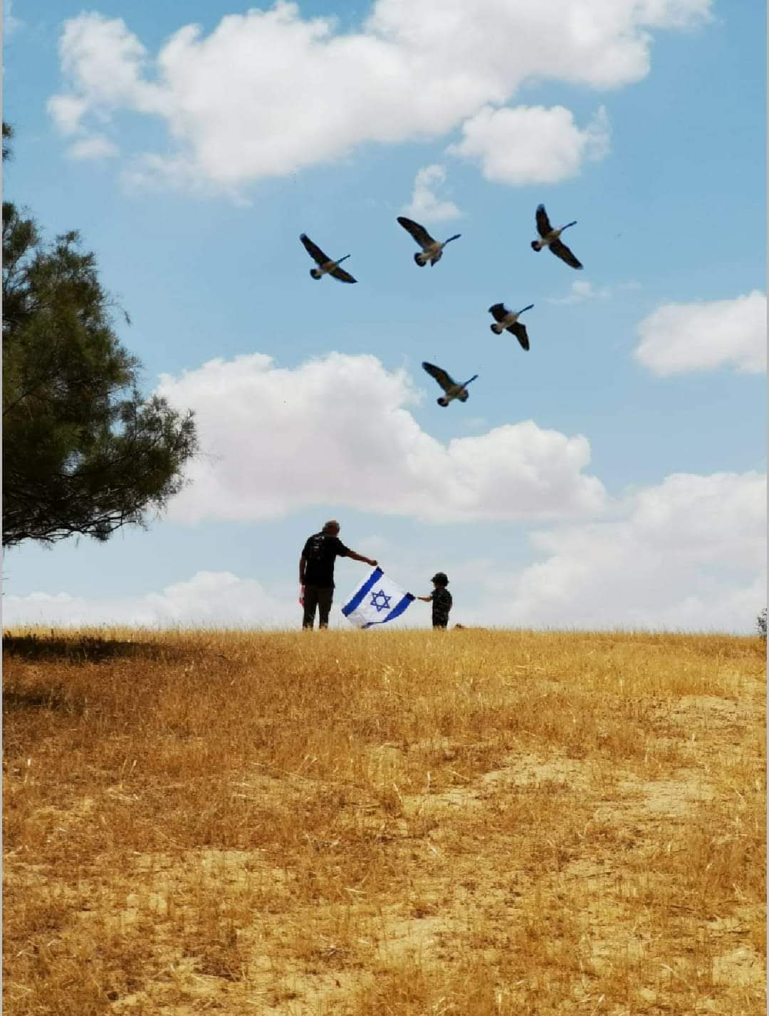 ריקי עזרא