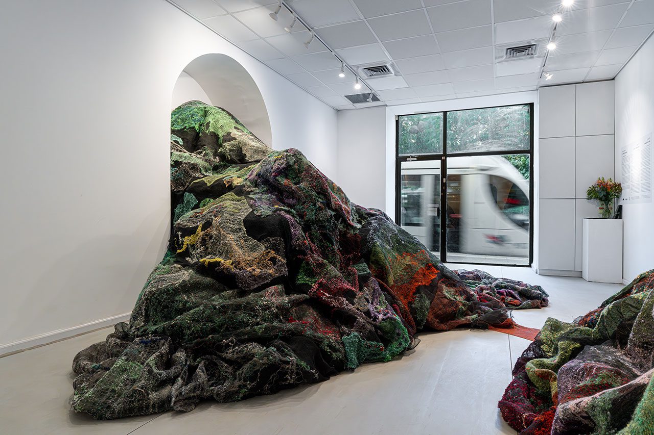 שדה פרום בשדה. צילומים: דניאל חנוך