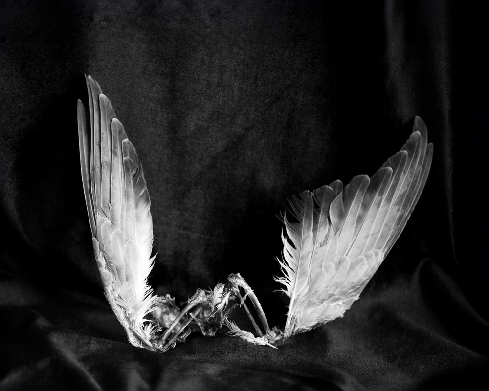 אתי נמיר. צילומים: מ״ל