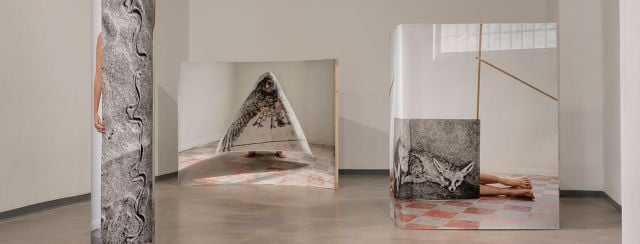 מיכל בראור, שודד 3, 2017