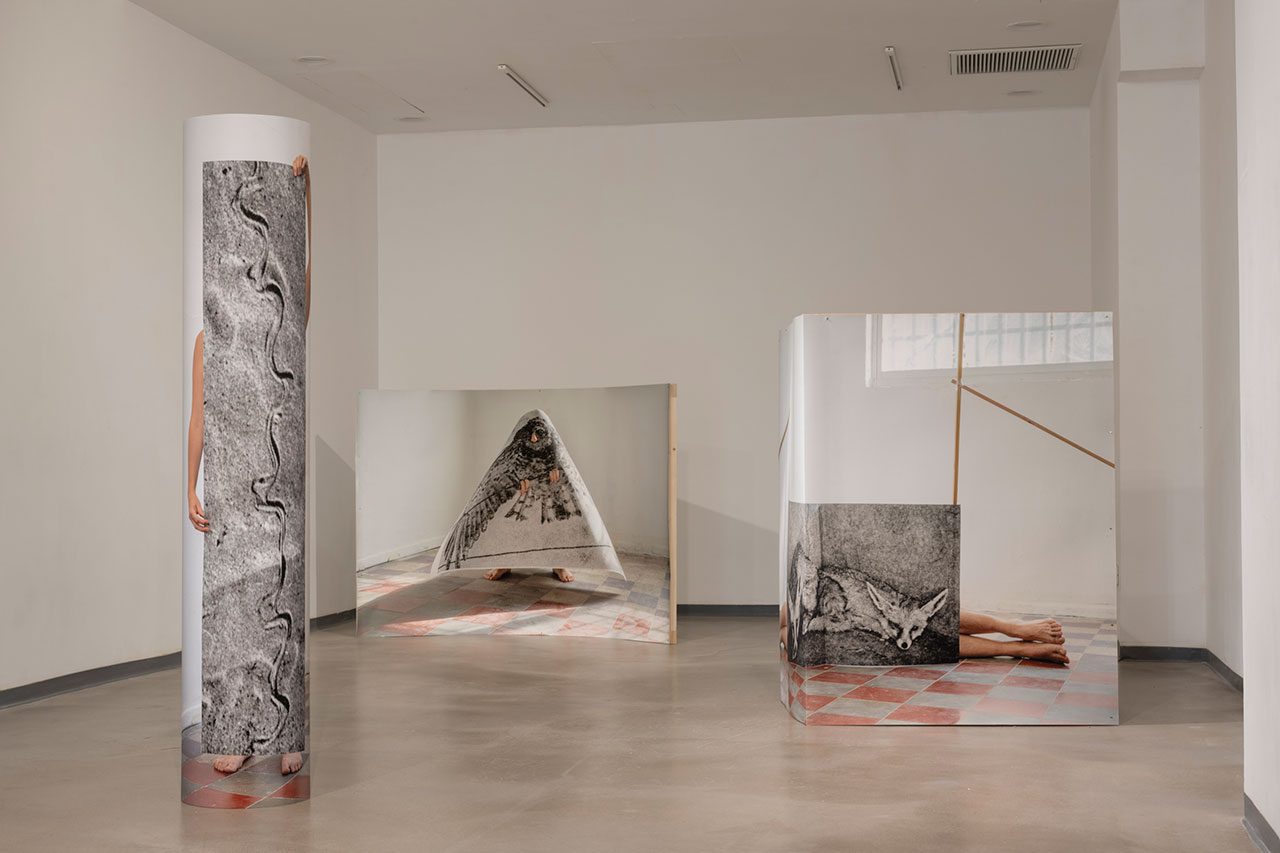 מיכל בראור, שודד 3, 2017