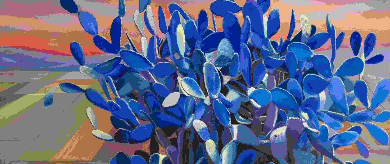 סובחייה חסן קייס בגלריה לאמנות אום אל פחם. צילום: יגאל פרדו