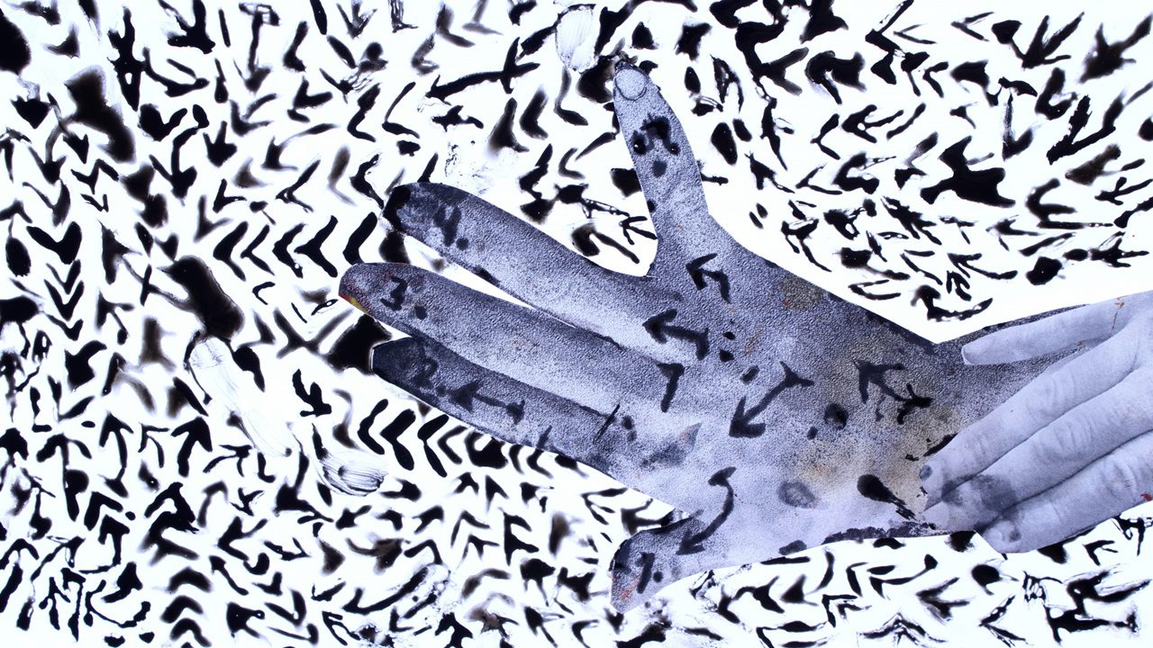 דניאל אלחסיד, סטילס מתוך וידיאו