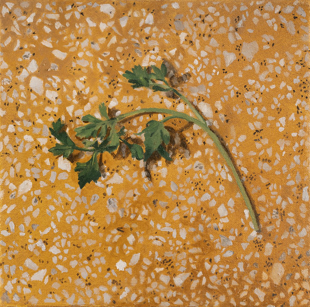 יעל אורן. צילום: יעקב ישראל