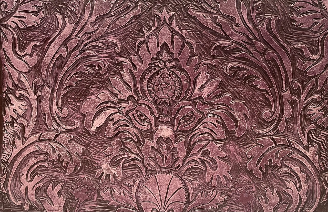 מאיה שמעוני. צילום: מ״ל