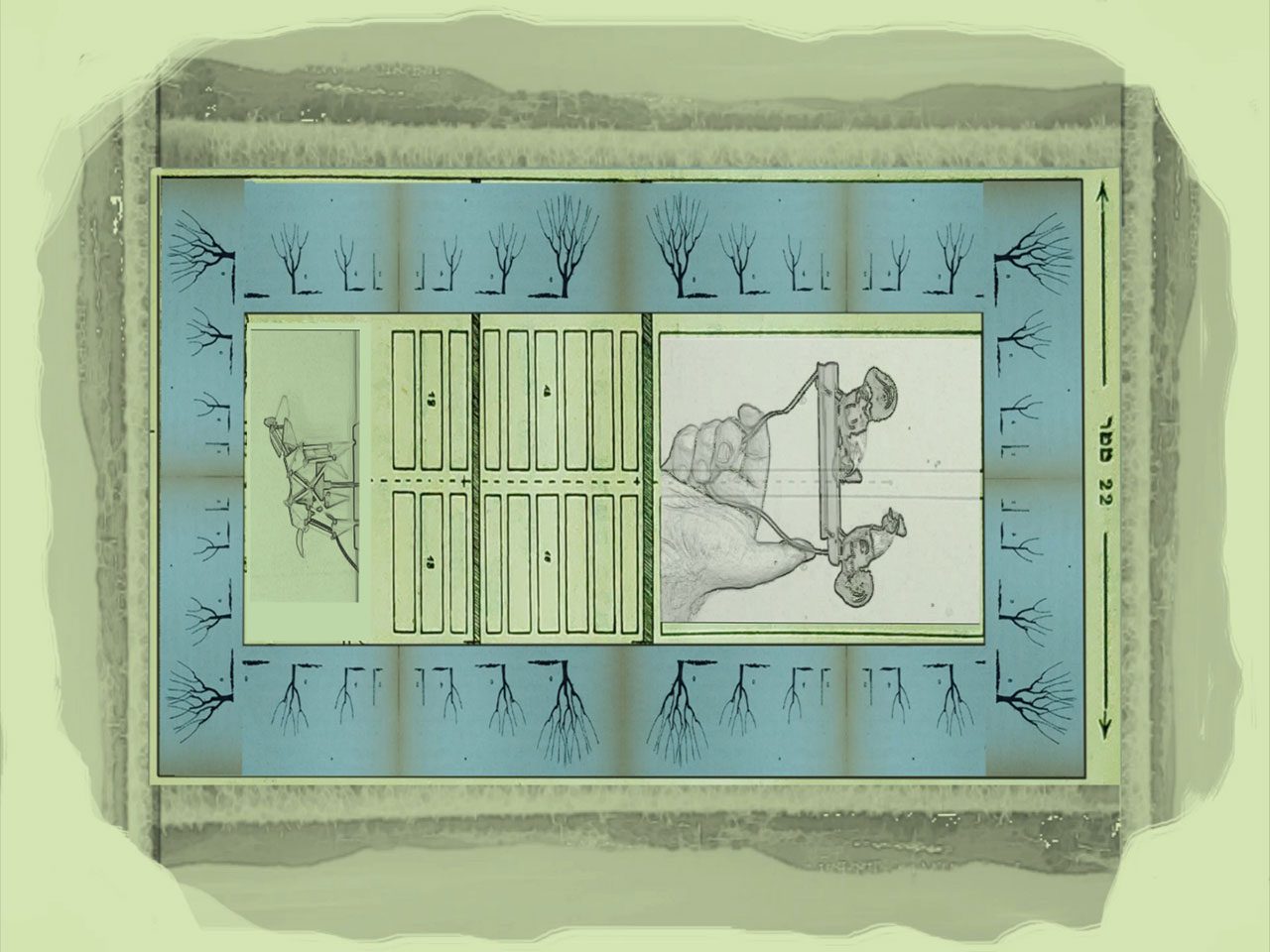 מיכל שכנאי, במשק