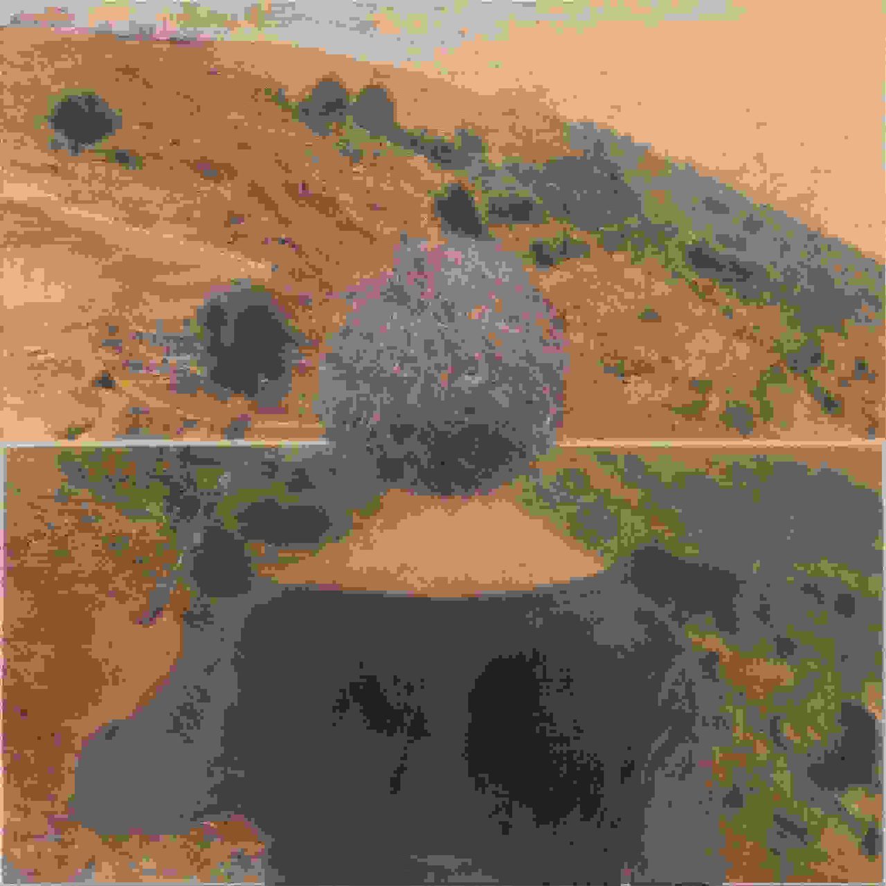 רות קסטנבאום בן־דב. צילום: יגאל פרדו