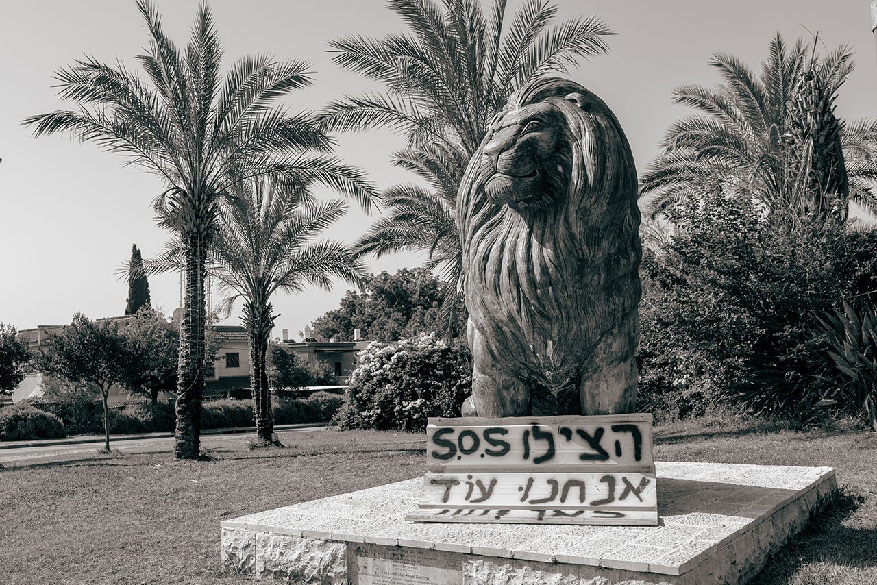 צילום: ארז בן סימון, TSP Israel