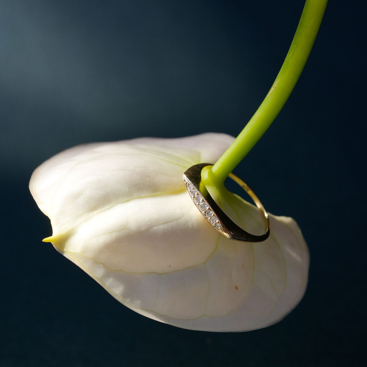 צילומים: @katia_content_