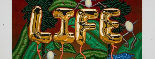 ג׳ואל מסלר. צילום ג׳ס דלייני