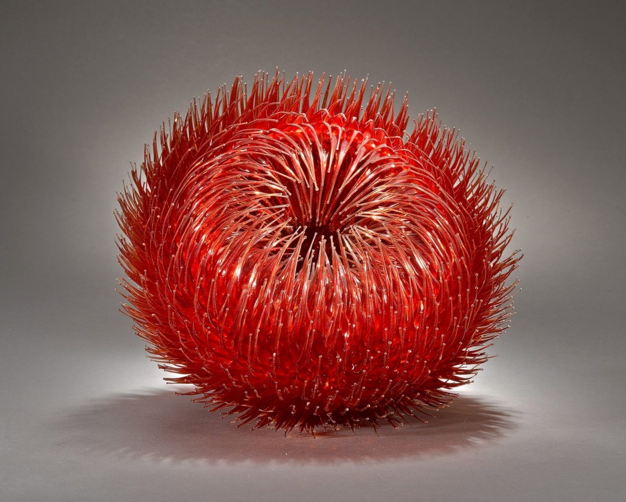 דפנה קפמן. צילום: לאוניד פדרול