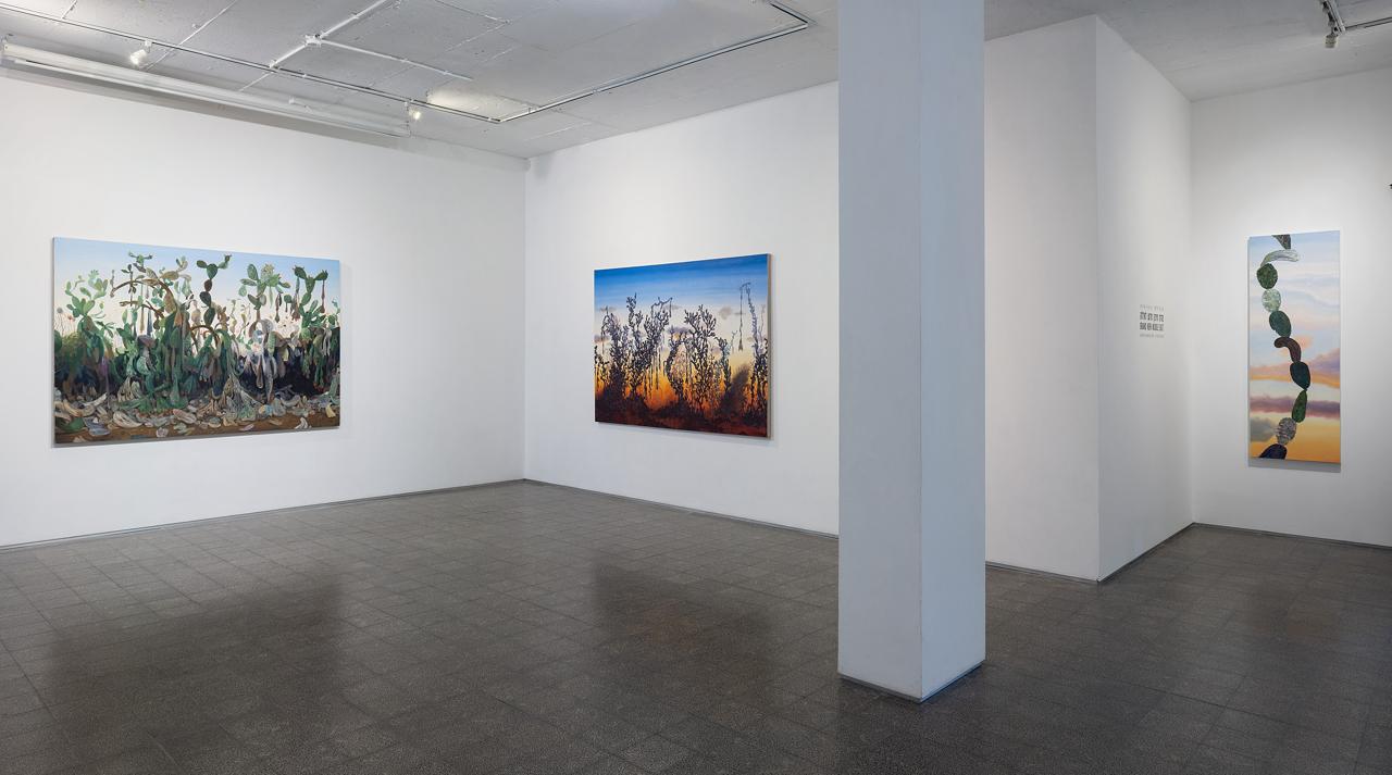 אבישי פלטק, מראה הצבה בגלריה מאיה