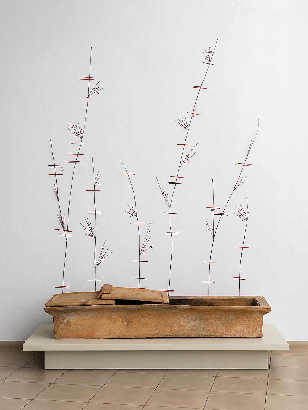 דפנה קפמן. צילום: אלעד שריג