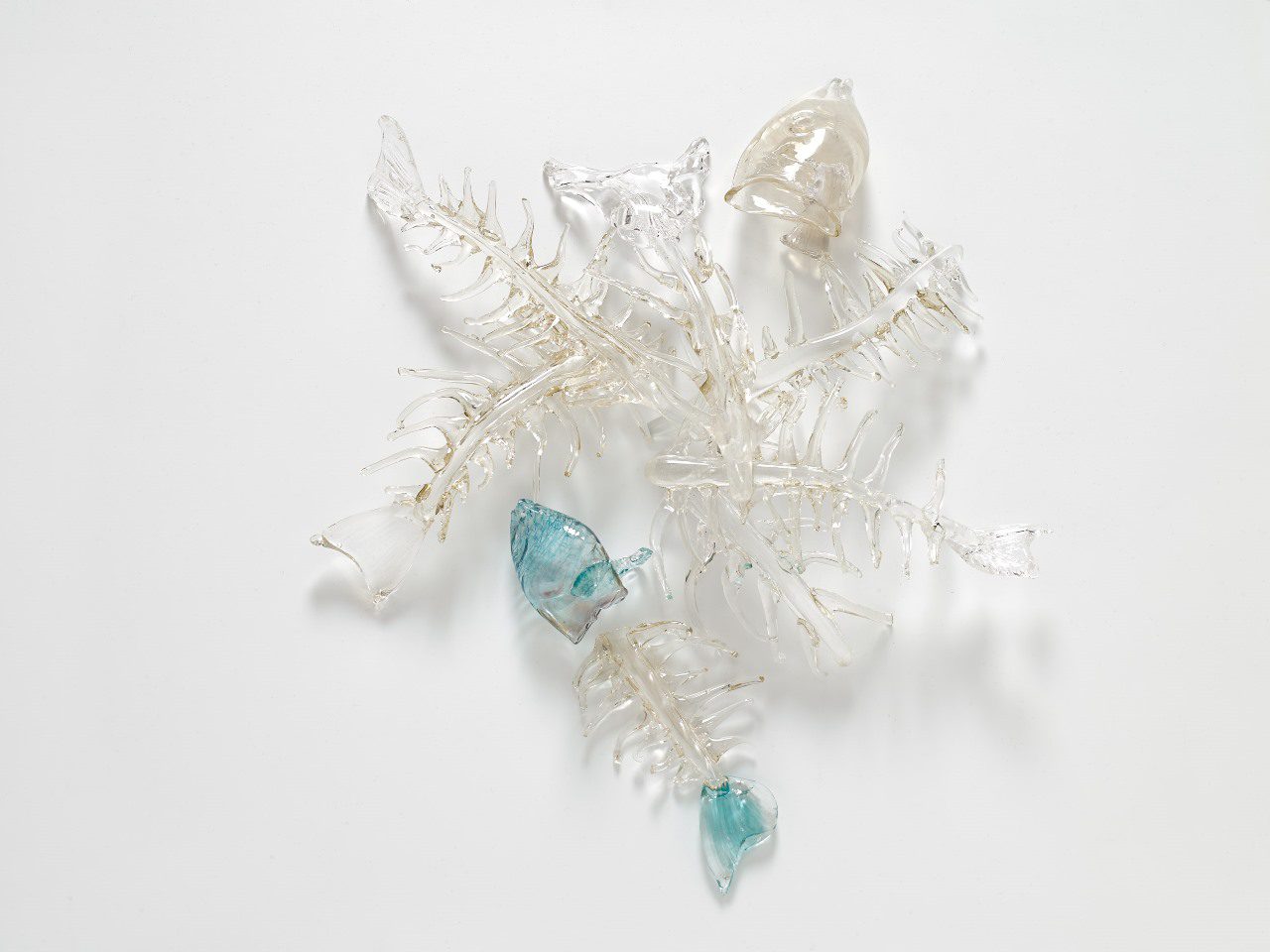 מעיין פייגין. צילום: אבי אמסלם